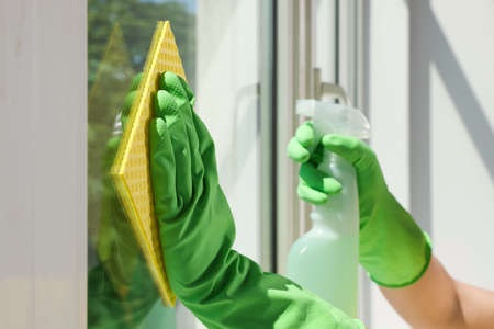 Woman cleaning window glass with sponge cloth and spray indoors, closeupの写真素材