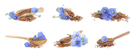 Set with flax seeds and flowers on white background. banner designの写真素材