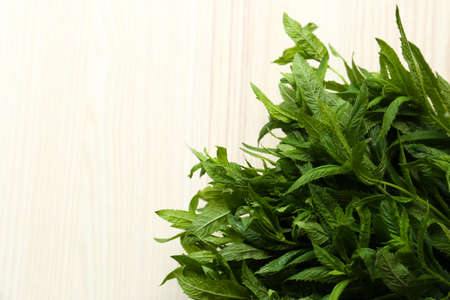 Beautiful green mint on white wooden table, top view. Space for textの写真素材