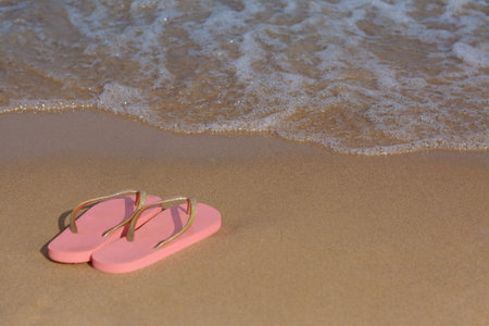 Stylish flip flops on sandy beach near sea, space for textの写真素材