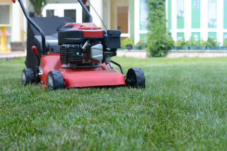 Modern garden lawn mower on green grass in park