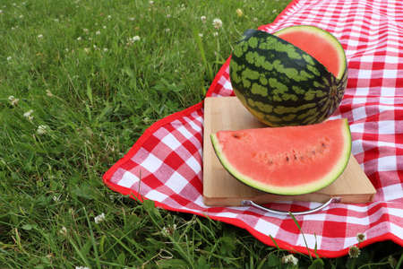 Delicious cut watermelon on red checkered blanket outdoors, space for textの写真素材