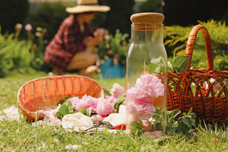 Glass bottle with beautiful tea roses, baskets and flowers in garden on sunny dayの写真素材
