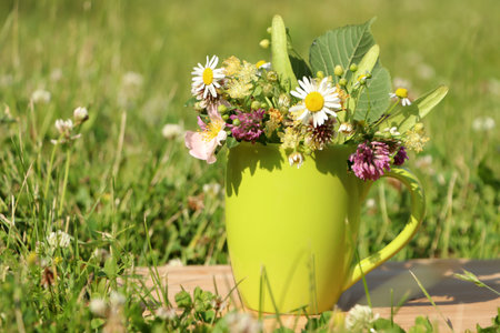 Green cup with different wildflowers and herbs on wooden board in meadow. Space for textの写真素材