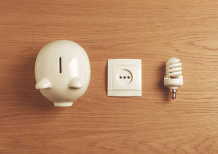Piggy bank, power socket and fluorescent light bulb on wooden table, flat lay. energy saving conceptの写真素材