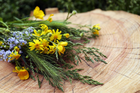 Bouquet of beautiful wildflowers on wooden stump outdoors, closeupの写真素材