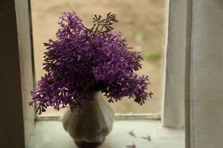 Beautiful lilac flowers in vase on window sill indoorsの写真素材