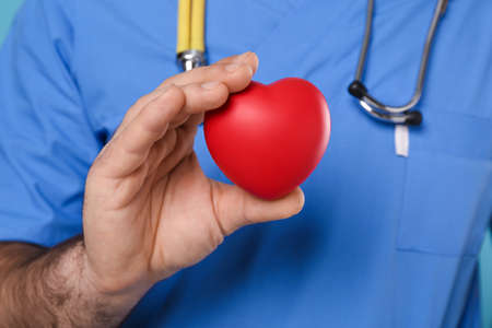 Doctor holding red heart, closeup. cardiology concept
