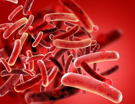 Bacteria colony under microscope, illustration. Cystitis, urinary bladder infection