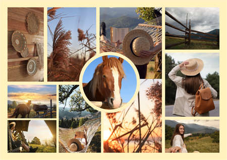 Inspiring mood board. Collage with beautiful and aesthetic photosの写真素材