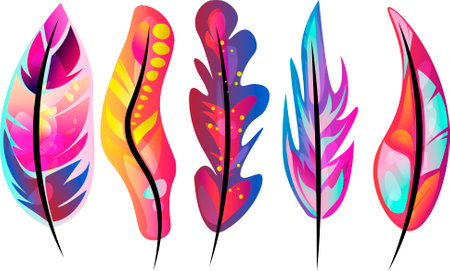 many beautiful feathers on white background, illustrationの写真素材