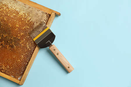 Honeycomb frame and uncapping fork on light blue background, flat lay with space for text....
