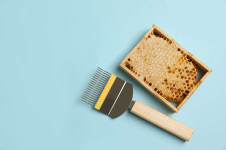 Honeycomb frame and uncapping fork on light blue background, flat lay with space for text....