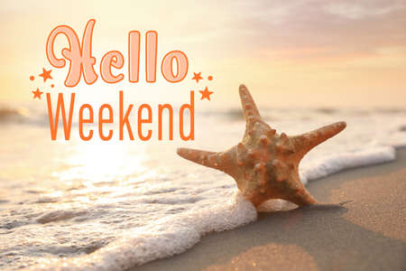 hello weekend. Beautiful starfish on sand near sea at sunset