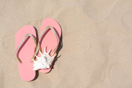 Stylish pink flip flops and seashell on sandy beach, flat lay. Space for textの写真素材