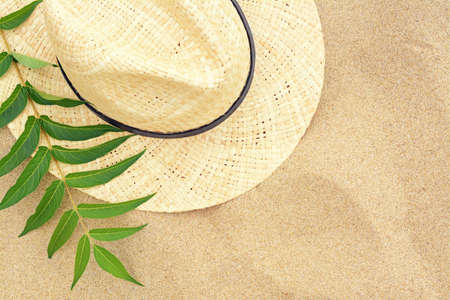Straw hat and green leaves on sandy beach, flat lay. Space for textの写真素材