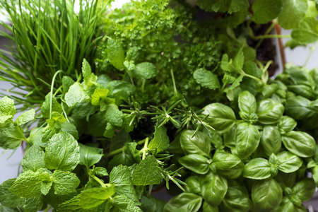 Different aromatic herbs as background, top view