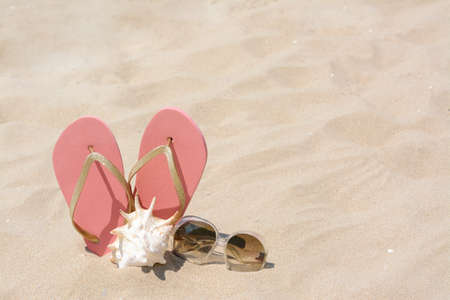 Stylish pink flip flops, sunglasses and seashell on sandy beach, space for textの写真素材