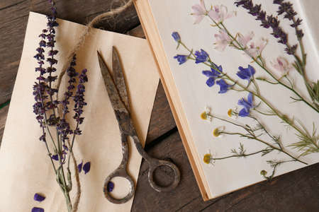 Old scissors with beautiful dried flowers and book on wooden table, flat lay