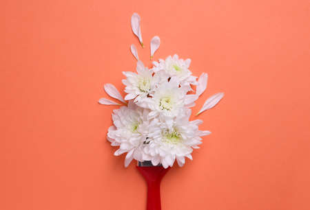 Creative flat lay composition with paint brush and white chrysanthemum flowers on coral backgroundの写真素材