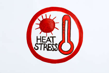 Words Heat Stress, thermometer and sun drawn in circle on white background, top viewの写真素材