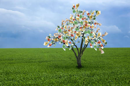 Money tree on green lawn outdoors. Concept of financial growth and passive incomeの写真素材