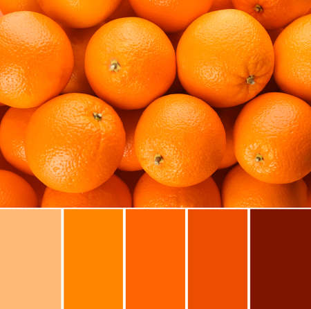 Color palette and fresh ripe oranges as background, top viewの写真素材