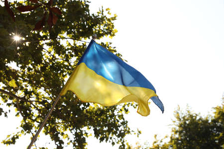 National flag of Ukraine fluttering on sunny day outdoorsの写真素材