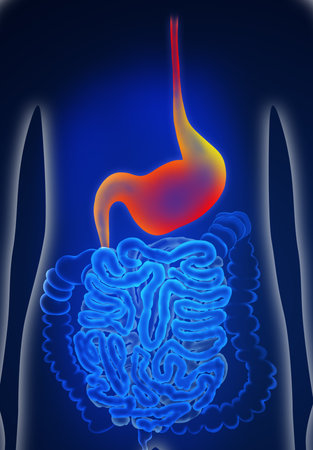 Illustration of man suffering from stomach disease. gastroenterologyの写真素材