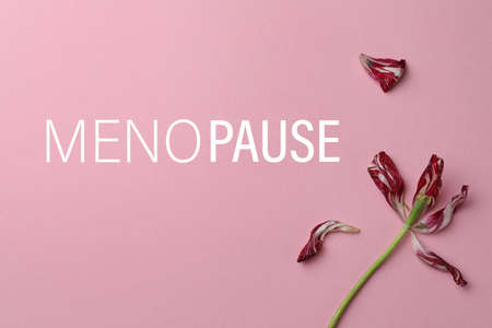 Red tulip and word Menopause on pink background, top viewの写真素材