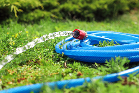 Water flowing from hose on green grass outdoors, closeupの写真素材