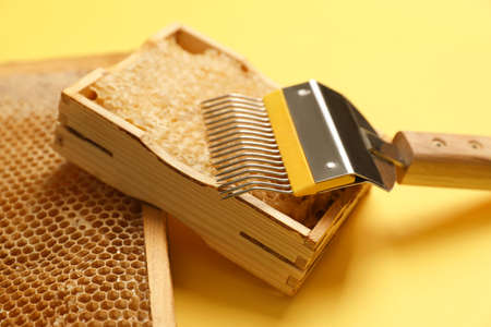 Hive frames with honeycombs and uncapping fork on yellow background, closeup. Beekeeping