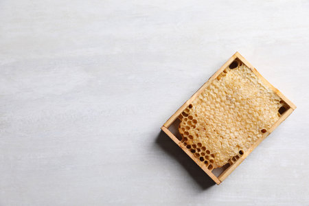 Honeycomb frame on white table, top view with space for text. beekeeping toolの写真素材