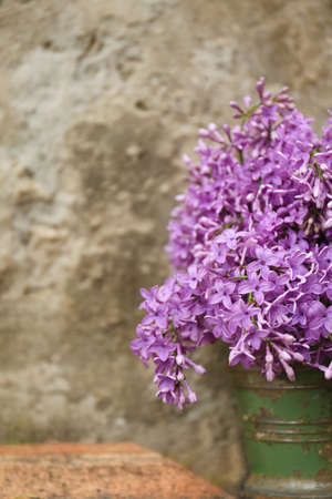 Beautiful lilac flowers in bucket near stone wall, space for textの写真素材