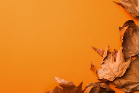Dry autumn leaves on orange background, flat lay. Space for textの写真素材