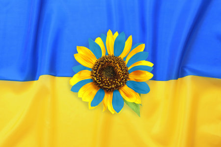Bright sunflower and Ukrainian national flag on backgroundの写真素材