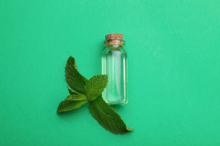 Bottle of essential oil and mint on green background, flat layの写真素材