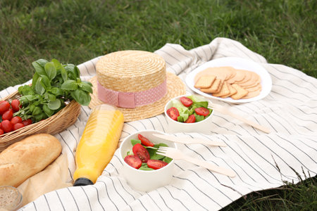 Picnic blanket with juice and food on green grass