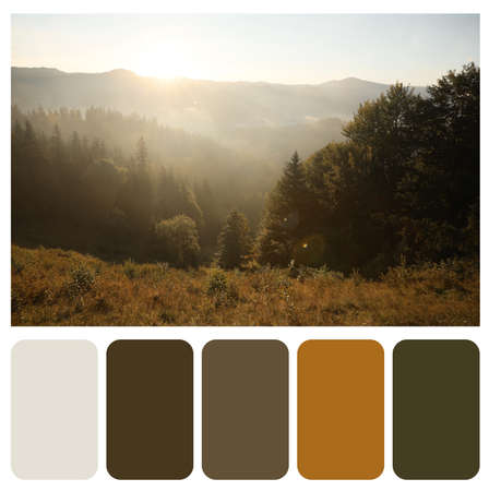 Color palette appropriate to photo of beautiful mountain landscape in the morningの写真素材
