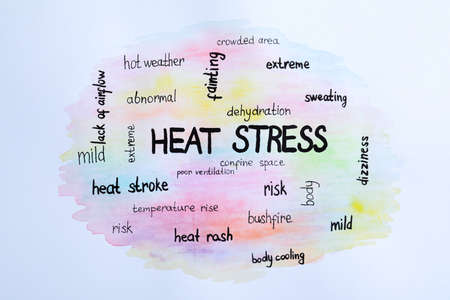 Word cloud on white background, top view. heat stress conceptの写真素材