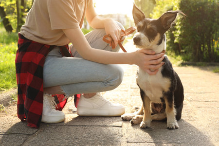 Teenage girl with her cute dog in park, closeupの写真素材