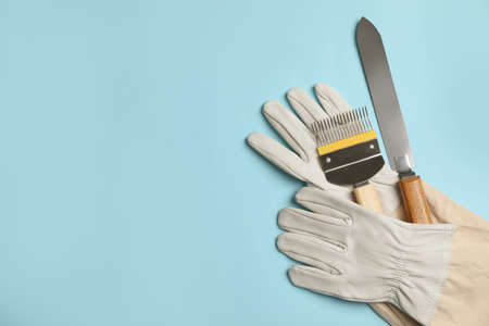 Beekeeping tools and gloves on light blue background, flat lay. Space for textの写真素材