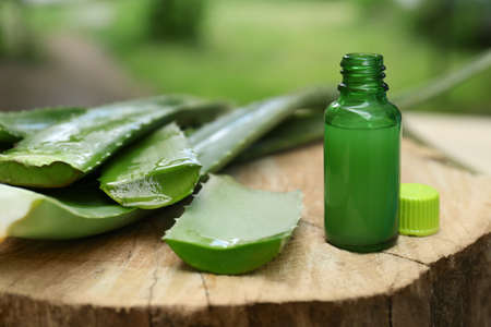 Fresh aloe vera leaves and bottle of extract on wooden stump outdoorsの写真素材