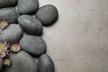 Spa stones and astrantia flowers on gray table, flat lay. Space for textの写真素材