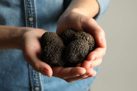 Woman holding heap of black truffles in hands on gray background, closeupの写真素材