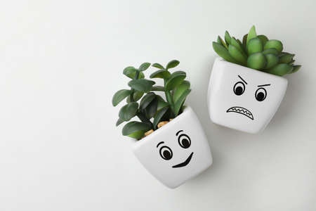 Top view of beautiful potted houseplants with angry and happy faces on white background, space for text. Emotional managementの写真素材