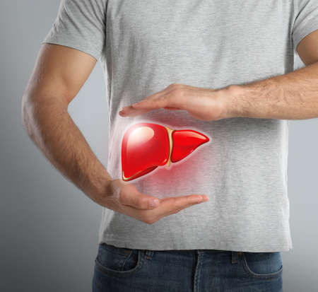 Man and illustration of healthy liver on gray background, closeupの写真素材