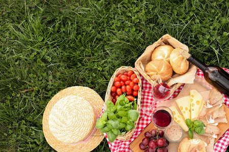 Picnic blanket with wine and food on green grass, top viewの写真素材