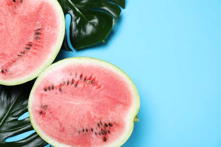 Halves of delicious ripe watermelon and tropical leaves on light blue background, flat lay. Space for textの写真素材