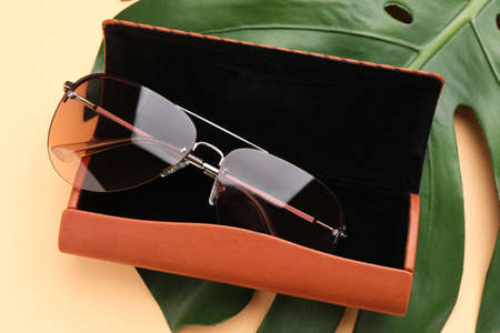 Stylish sunglasses in brown leather case on beige background, above view